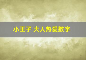 小王子 大人热爱数字